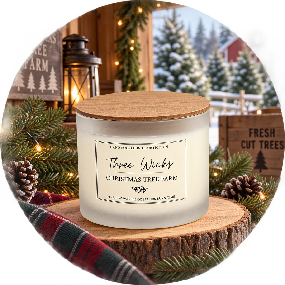 13 oz Cotton Wick Soy Candle - Holiday Scents | Frosted Jar