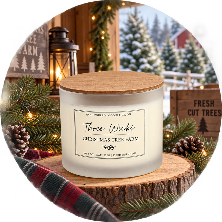 13 oz Cotton Wick Soy Candle - Holiday Scents | Frosted Jar